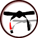 iBJJ icon