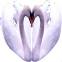Swans logo