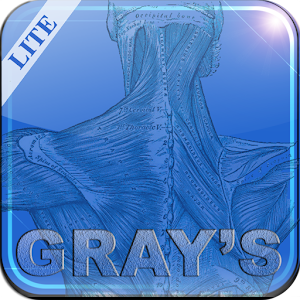 Gray's Anatomy Lite 醫療 App LOGO-APP開箱王
