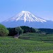 Japan Image Gallery