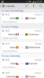 Brazil Cup 2014 poster 5