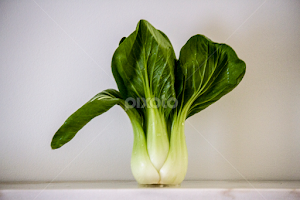 Bok Choy by Paul Toscano -  
