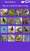 Captura de pantalla de Bird Matrix APK #1