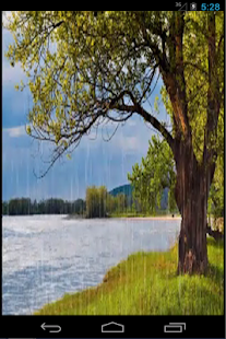 How to install Rain Live Wallpaper 1.25 apk for pc