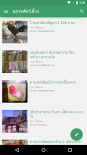 Lastest ตลาดสัตว์เลี้ยง นก ปลา วัว ไก่ APK