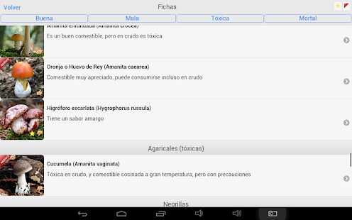 iSetas Screenshots 12