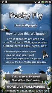 How to get Pesky Fly Live Wallpaper 3.0 unlimited apk for android