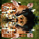 Baby Deer Live Wallpaper