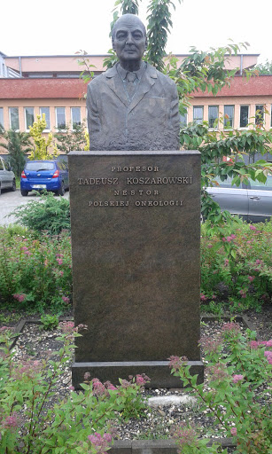 Pomnik Tadeusza Koszarowskiego
