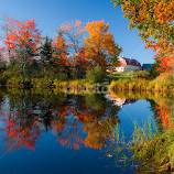 Fall color in Maine. by Gale Perry -  