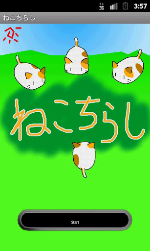 ねこちらし