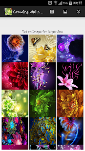 Lastest Growing Flower Wallpaper APK