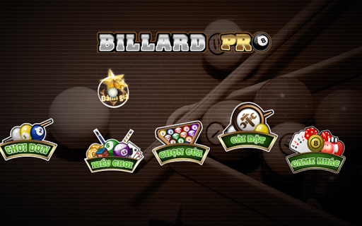 Cao thủ Billard Pro