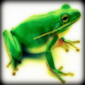 Frog Sound Effects logo