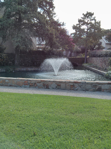 Quail Run Fountain 
