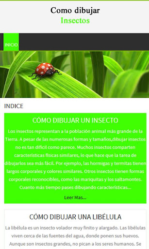 Dibujar Insectos