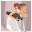 Ancient History Trivia Download on Windows