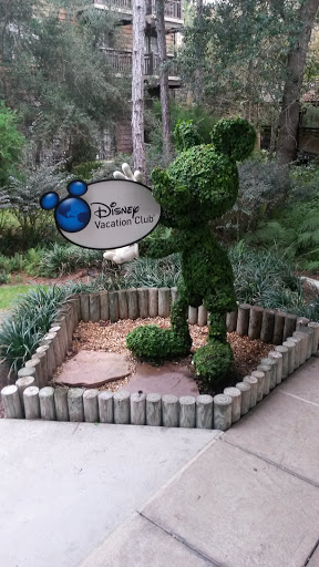 Mickey Mouse Topiary  