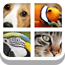 Baixar aplicação Close Up Animals - Kids Games Instalar Mais recente APK Downloader
