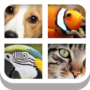 Close Up Animals logo