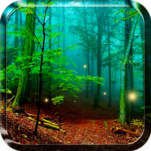 Forest Live Wallpaper.apk 4.0