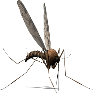 Sivrisinek Savar 1.0