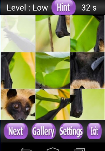 【免費解謎App】Flying Fox Puzzle Games-APP點子