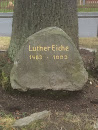 Luther Eiche