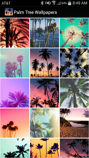 Palm Tree Wallpapers