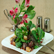 Healthy Salad Recipes