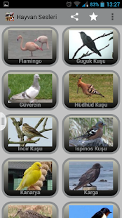 Hayvan Sesleri Screenshots 3