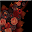 Flowers Live Wallpaper Free Download on Windows