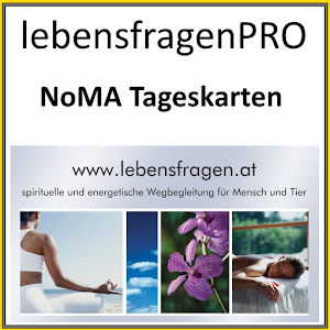 Lebensfragen Kartenlegen Pro logo
