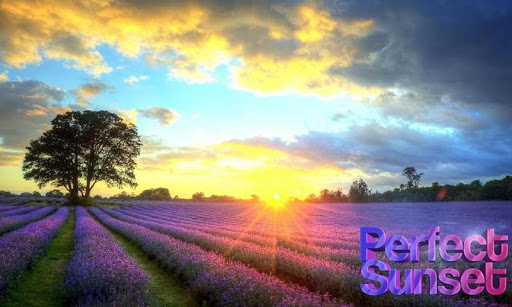 Perfect Sunset Live Wallpaper