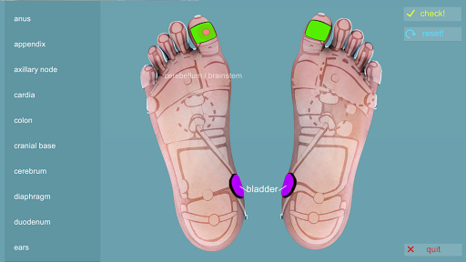 免費下載教育APP|Reflexology Quiz app開箱文|APP開箱王