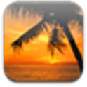 Pretty Wallpaper Download logo