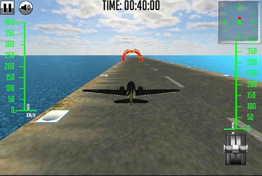 Airplane Flight Simulator 3D