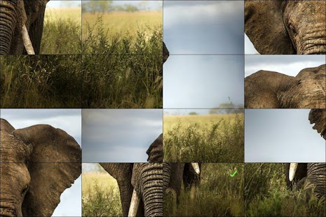 How to install Animals Puzzle patch 1.4 apk for pc