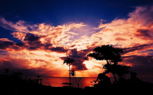 Download Sunset Palm Trees APK for PC