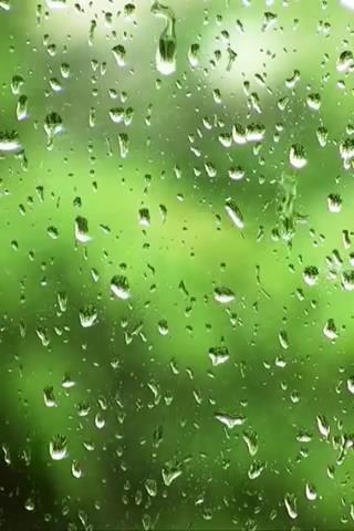 Rain drops screen Live Wallp