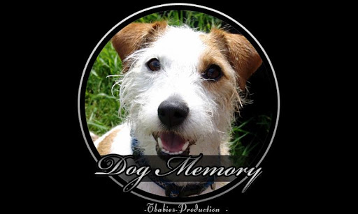 dog memory