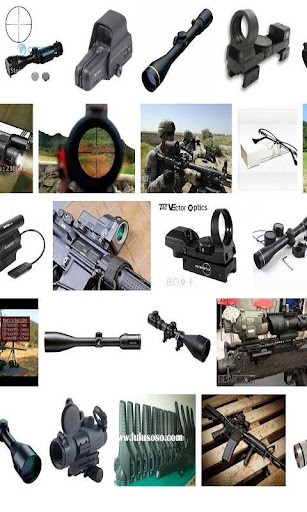 Gun Optics