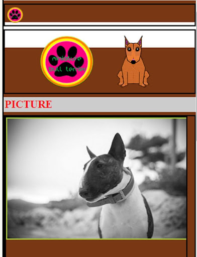 MINIATURE BULL TERRIER