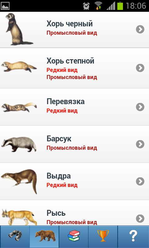 EcoGuide: Russian Wild Mammals Screen 3