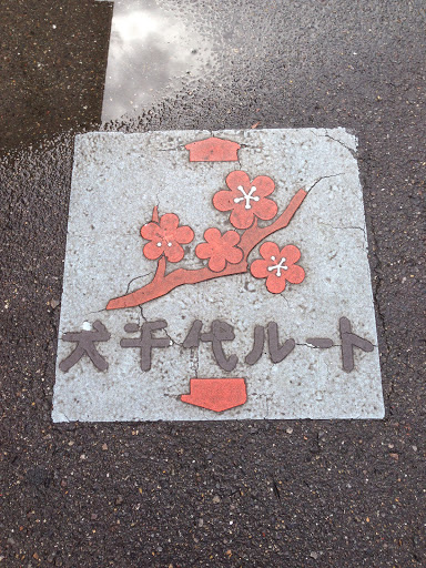 犬千代ルートの桜