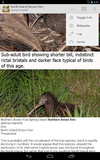 【免費書籍App】Birds of New Zealand-APP點子