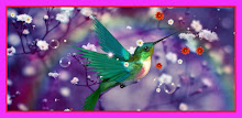 Humming Bird Live Wallpaper APK