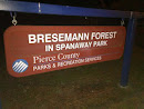 Bresemann Forest in Spanaway Park