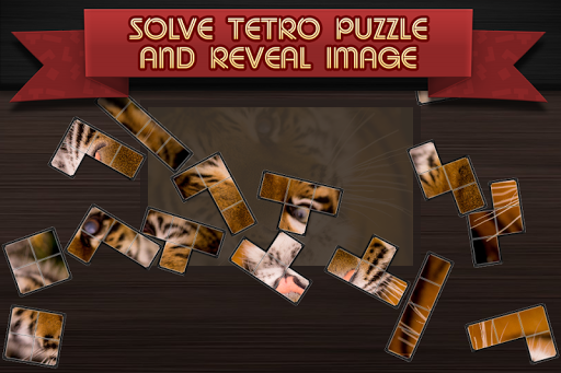 Tetro Puzzle