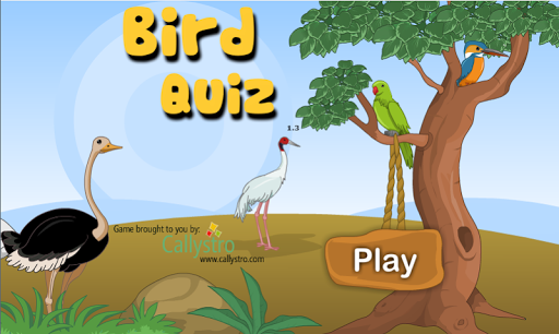 Bird Quiz